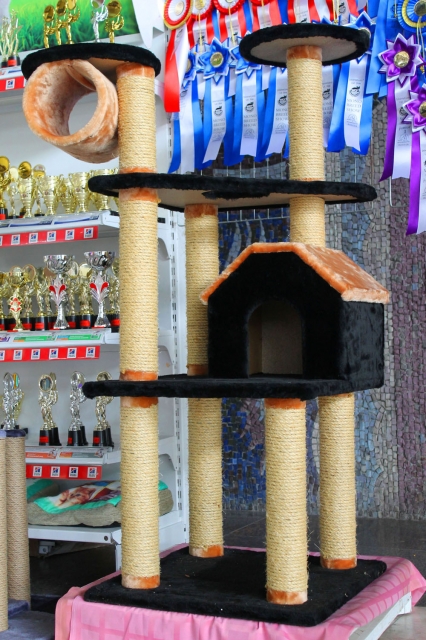 25-26 февраля 2017 г. Новороссийск