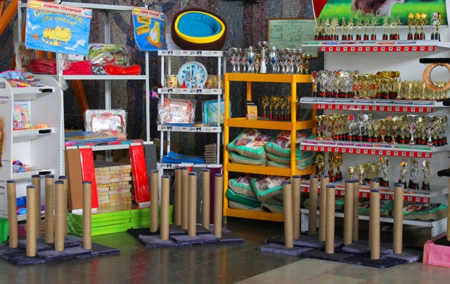 25-26 февраля 2017 г. Новороссийск