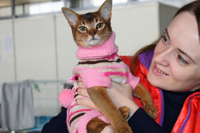 25-26 февраля 2017 г. Новороссийск