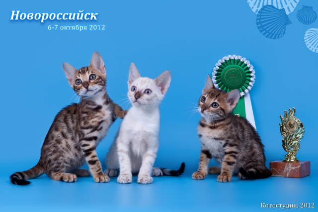 6-7 октября 2012 Новороссийск