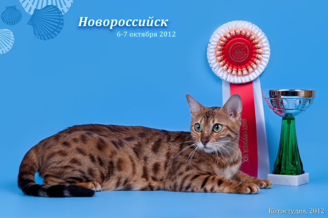 6-7 октября 2012 Новороссийск