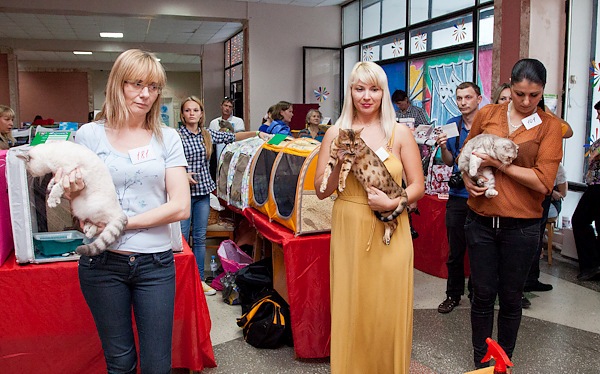 6-7 октября 2012 Новороссийск