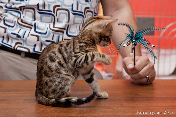 6-7 октября 2012 Новороссийск