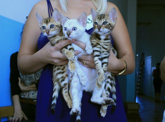 6-7 октября 2012 Новороссийск