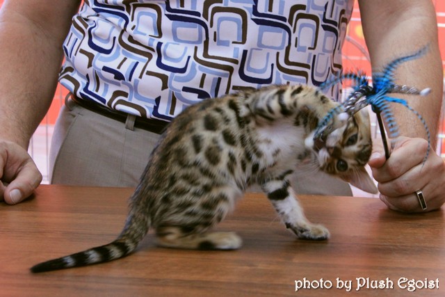 6-7 октября 2012 Новороссийск