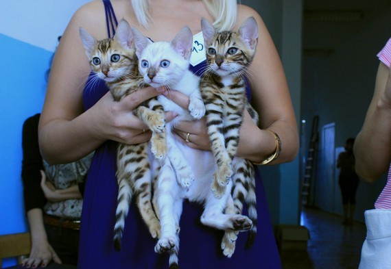 6-7 октября 2012 Новороссийск