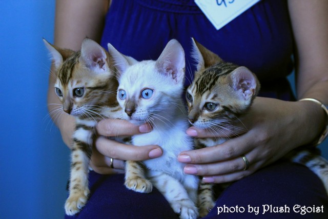 6-7 октября 2012 Новороссийск