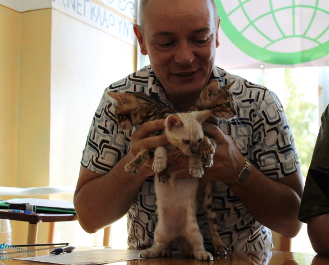 6-7 октября 2012 Новороссийск