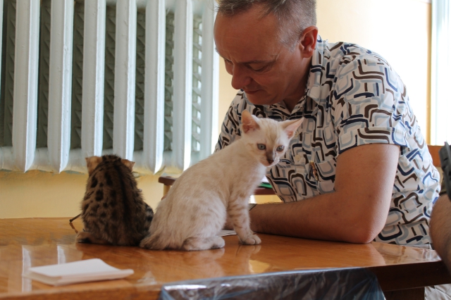 6-7 октября 2012 Новороссийск