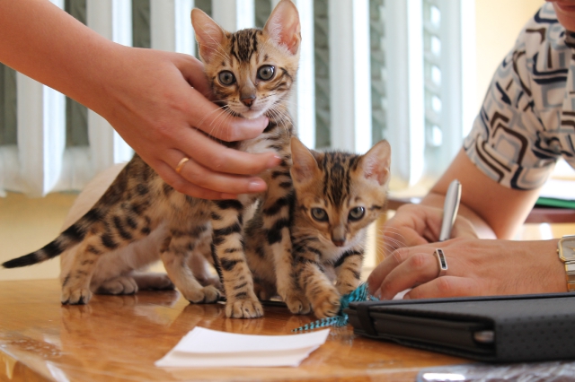 6-7 октября 2012 Новороссийск