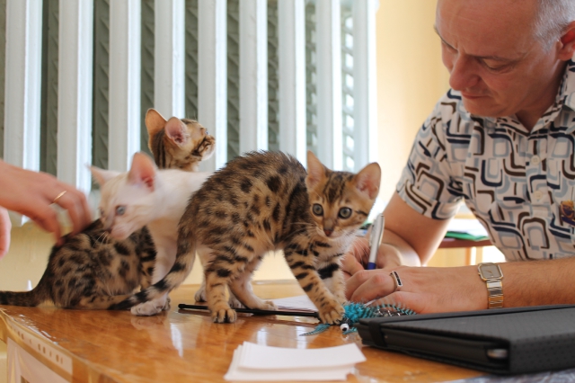 6-7 октября 2012 Новороссийск