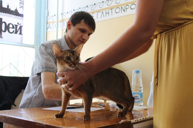 6-7 октября 2012 Новороссийск