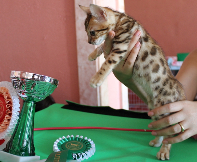 6-7 октября 2012 Новороссийск