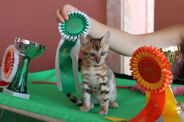 6-7 октября 2012 Новороссийск