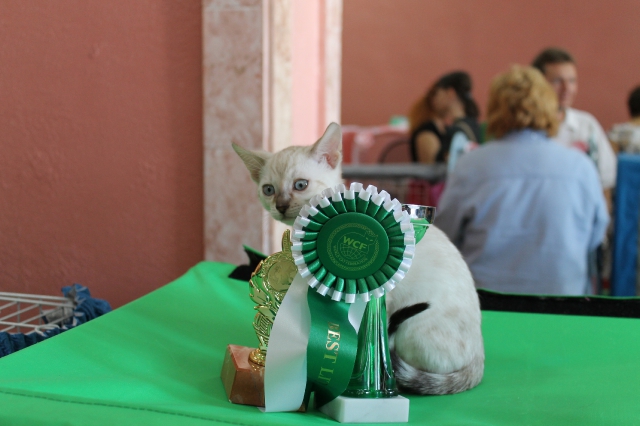 6-7 октября 2012 Новороссийск