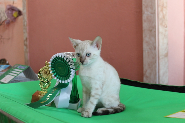 6-7 октября 2012 Новороссийск