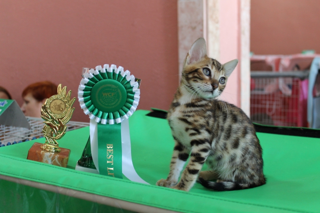 6-7 октября 2012 Новороссийск