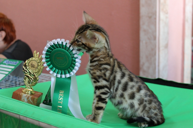 6-7 октября 2012 Новороссийск