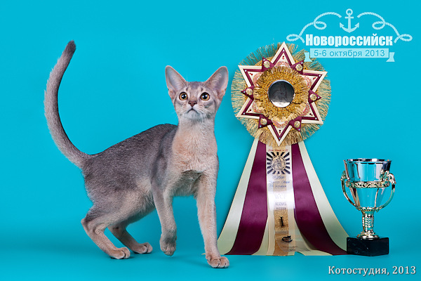 05-06 октября 2013 Новороссийск