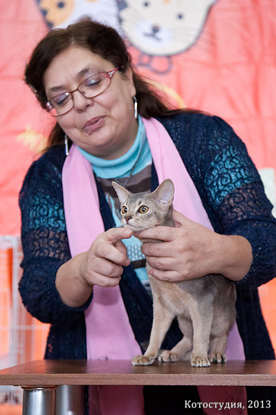 05-06 октября 2013 Новороссийск