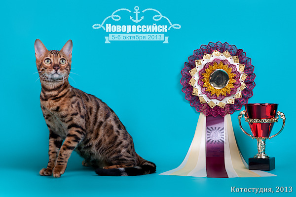 05-06 октября 2013 Новороссийск