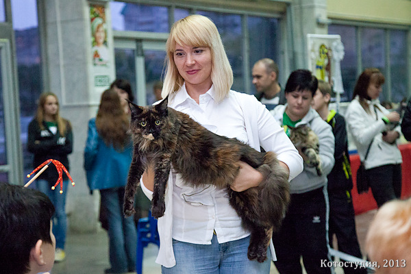 05-06 октября 2013 Новороссийск