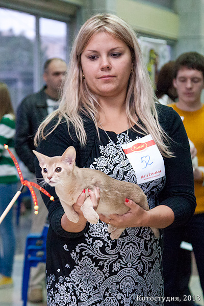 05-06 октября 2013 Новороссийск