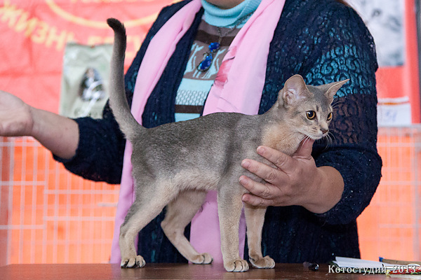 05-06 октября 2013 Новороссийск