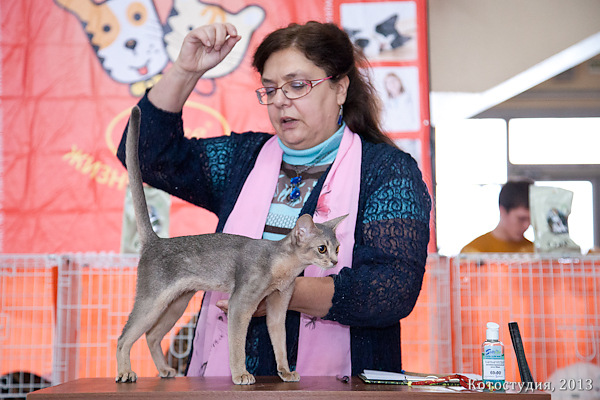 05-06 октября 2013 Новороссийск