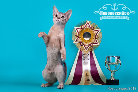 05-06 октября 2013 Новороссийск