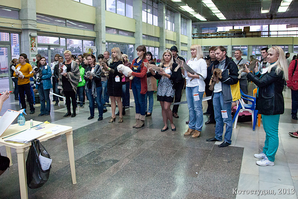 05-06 октября 2013 Новороссийск