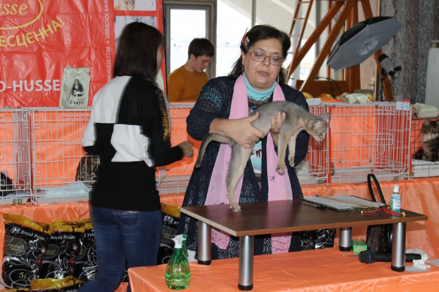 05-06 октября 2013 Новороссийск