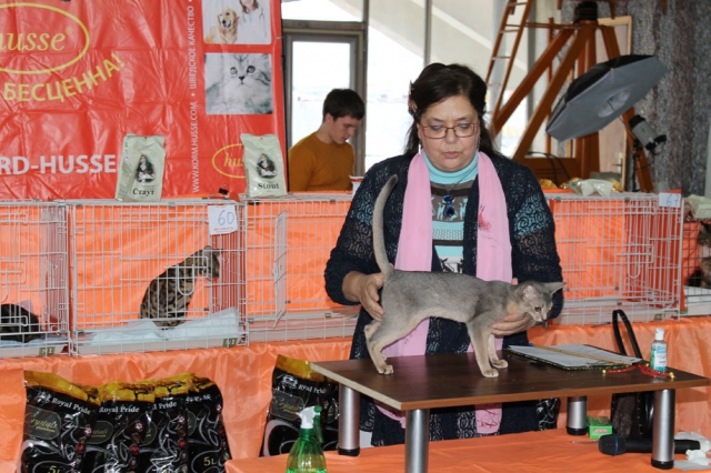 05-06 октября 2013 Новороссийск