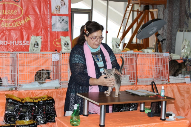 05-06 октября 2013 Новороссийск