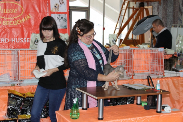 05-06 октября 2013 Новороссийск