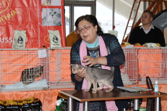 05-06 октября 2013 Новороссийск