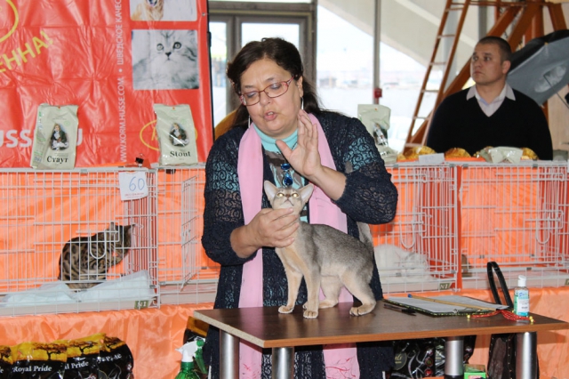 05-06 октября 2013 Новороссийск