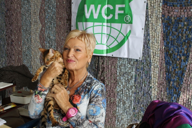 05-06 октября 2013 Новороссийск