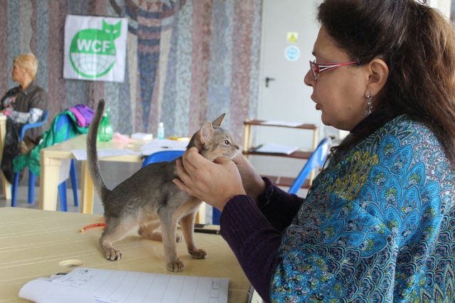 05-06 октября 2013 Новороссийск