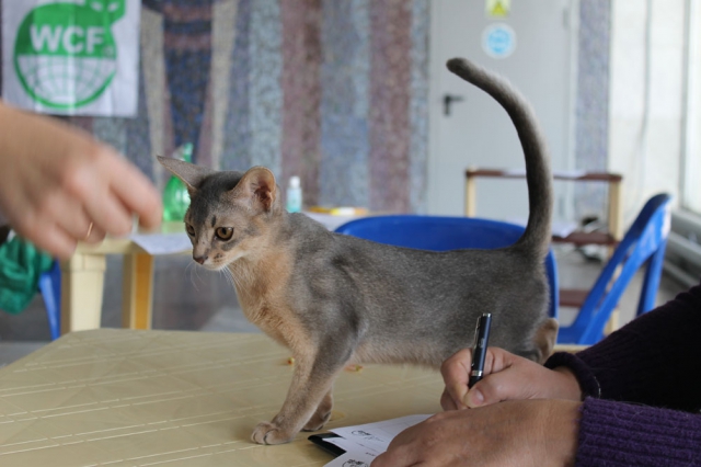 05-06 октября 2013 Новороссийск