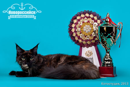 05-06 октября 2013 Новороссийск