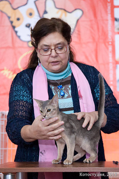 05-06 октября 2013 Новороссийск