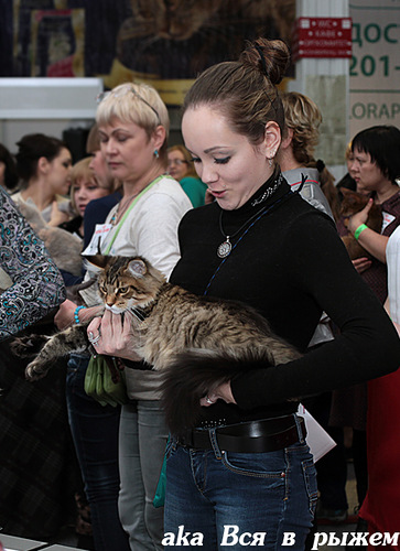 15 марта 2014 Краснодар