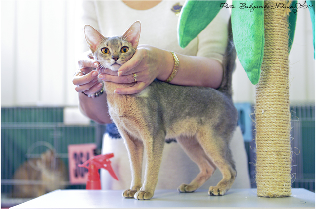 15 марта 2014 Краснодар