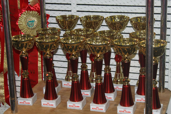 15 марта 2014 Краснодар