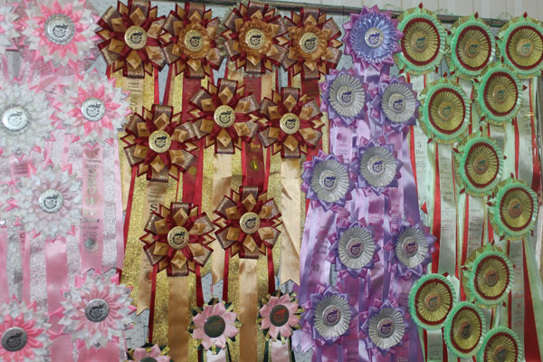 15 марта 2014 Краснодар