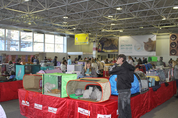 15 марта 2014 Краснодар