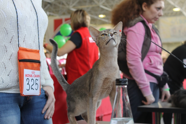 15 марта 2014 Краснодар