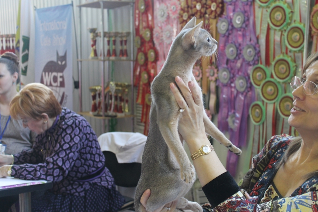 15 марта 2014 Краснодар