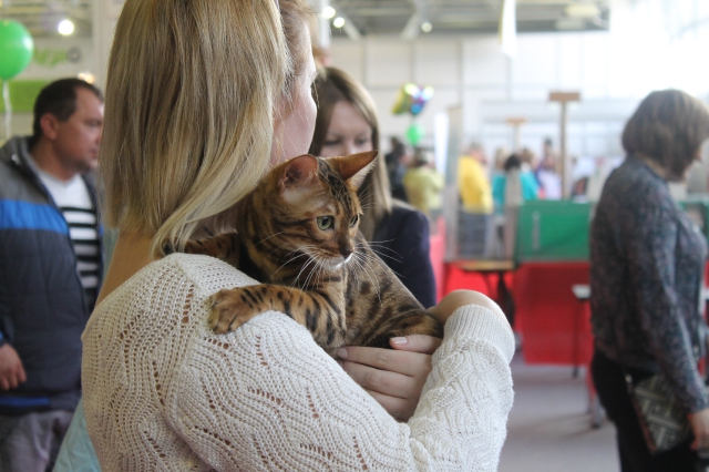 15 марта 2014 Краснодар